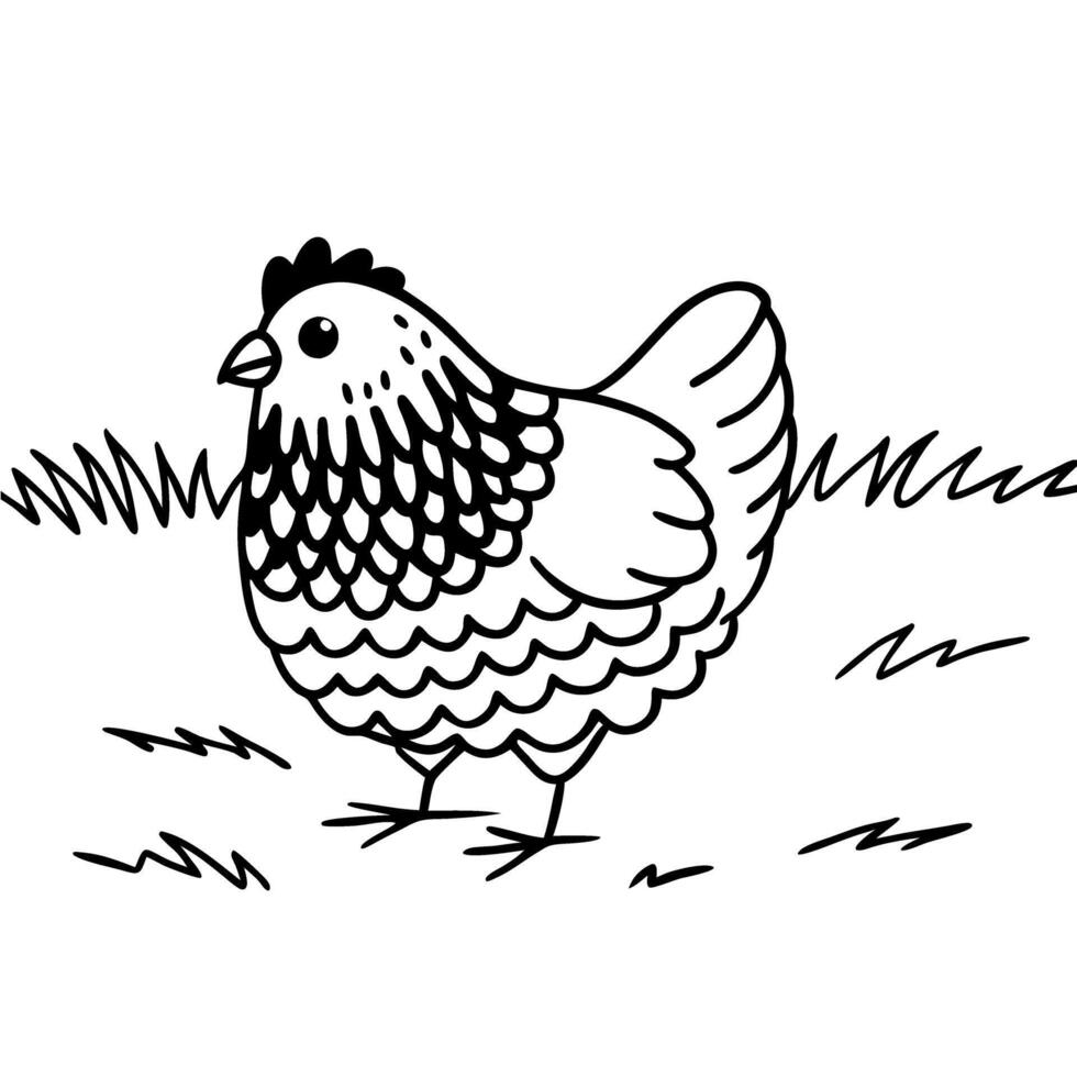 Illustrated hen in grass farm animal, black and white line art, simple nature drawing vector