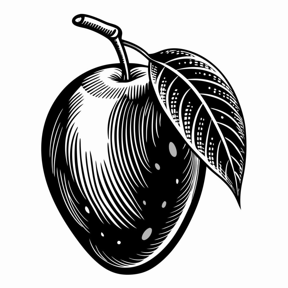 Intricate Black and White Etching of a Mango with Leaf in Vintage Style vector
