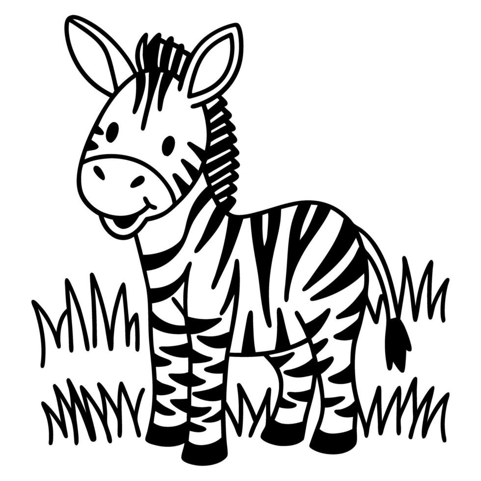 Cute zebra in grassland, black and white striped animal illustration vector