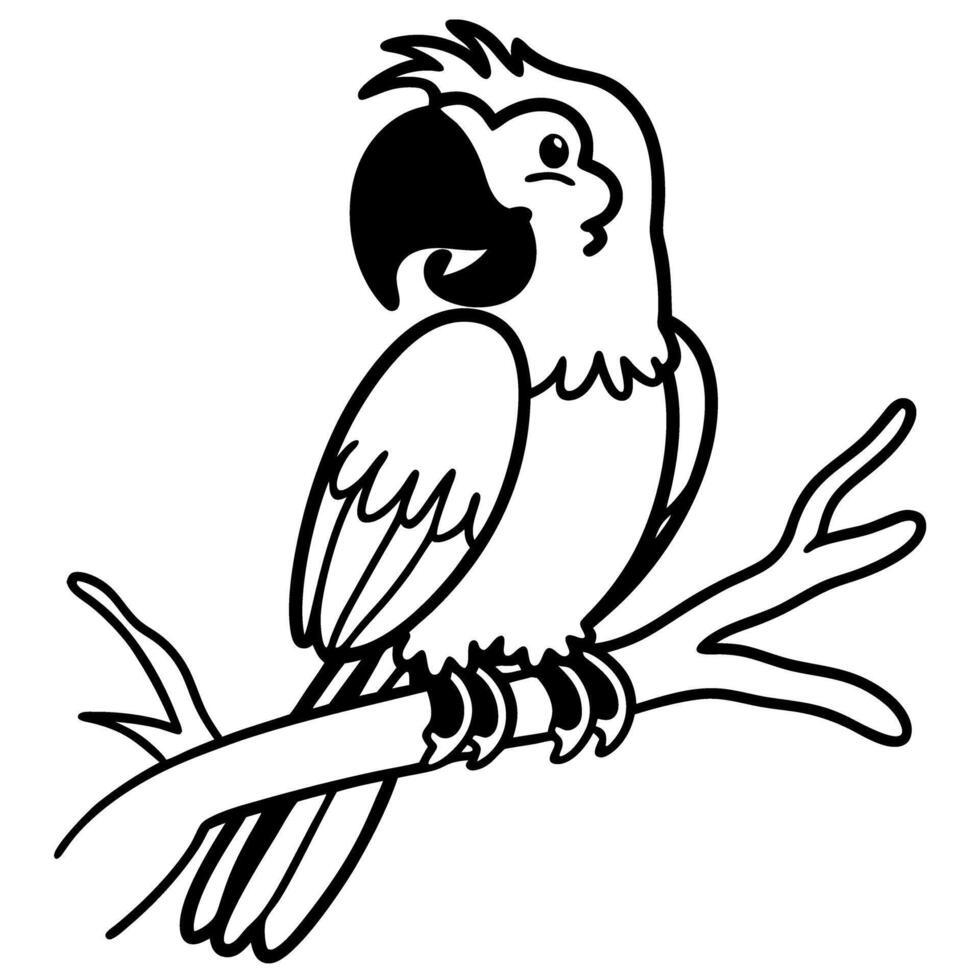 Parrot sketch on branch black and white bird illustration, detailed tropical wildlife art vector