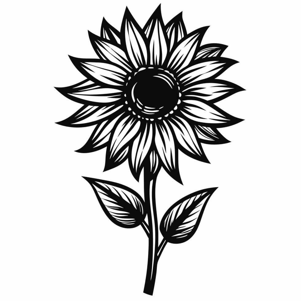 A black and white drawing of a sunflower vector