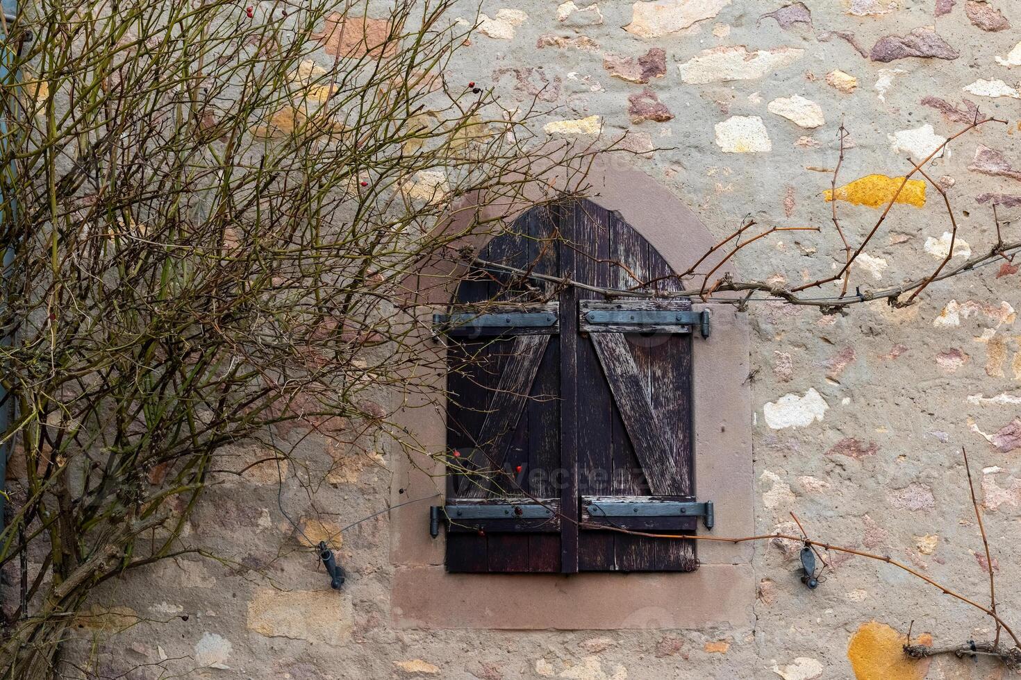 Wooden shutters adorn a rustic stone wall with bare branches in a quaint village setting during winter photo
