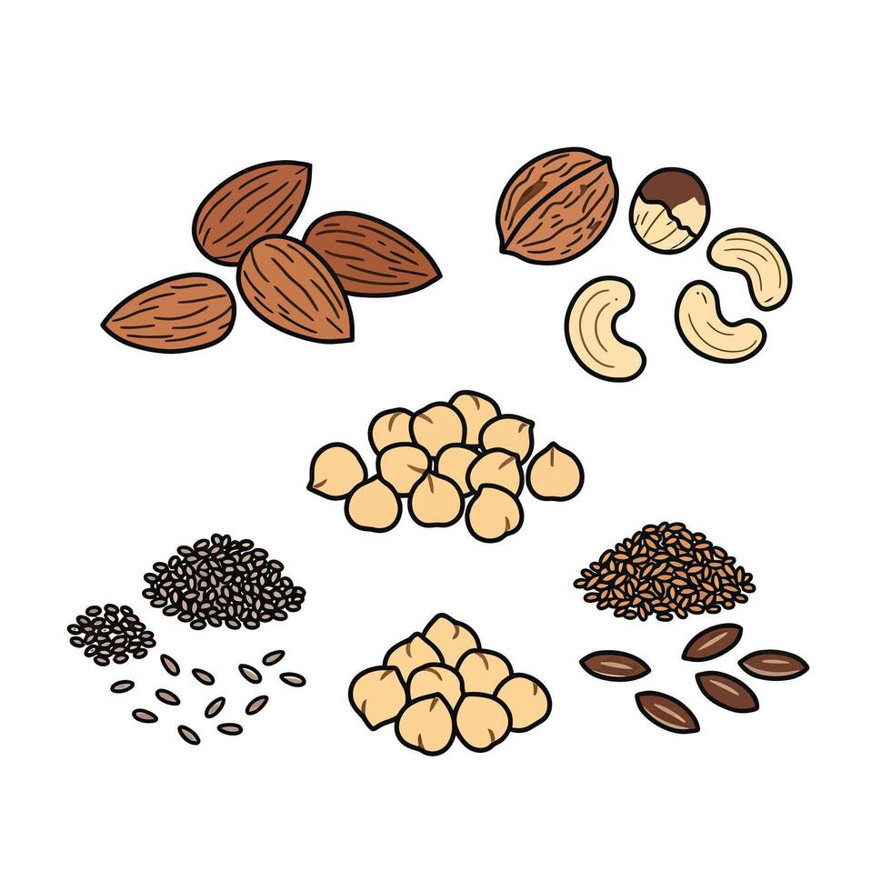 Seeds and Chickpeas Representing Protein-Rich Foods on a White Background vector