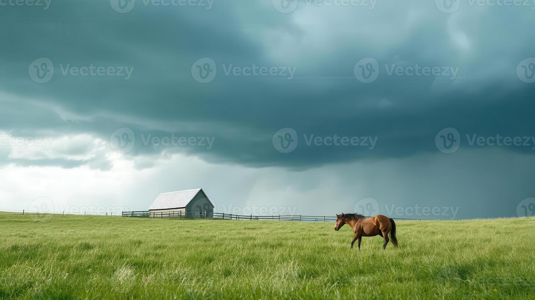 A horse in a field under a stormy sky photo