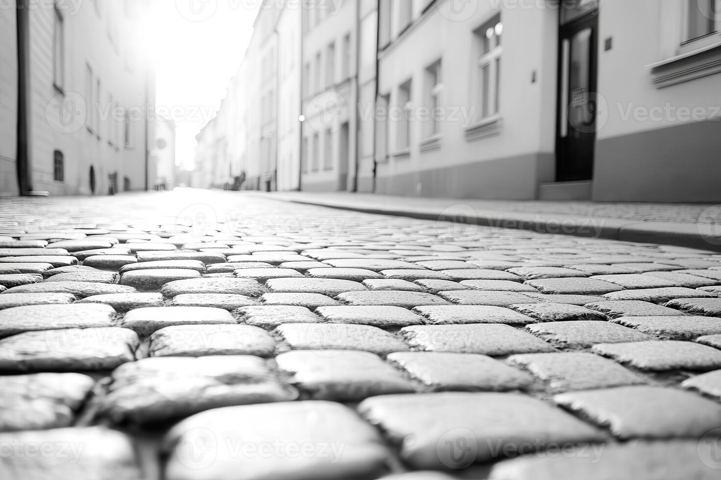 Walking down the black-and-white cobblestone street, you can't help but be captivated by its vintage charm, timeless aesthetic, and the soft glow of the morning light. photo