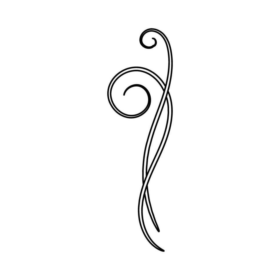 Calligraphic design elements. Decorative swirls. illustration vector