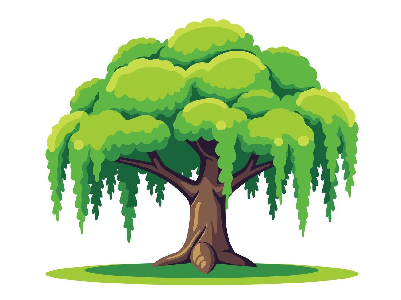 A single willow tree with green leaves and long dangling branches. vector
