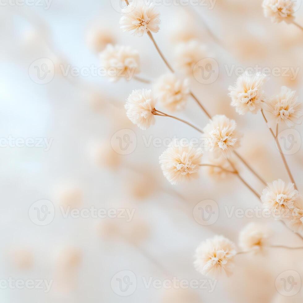 An abstract representation of dried petals, gentle earthy hues, muted patterns, and ethereal perspective. photo