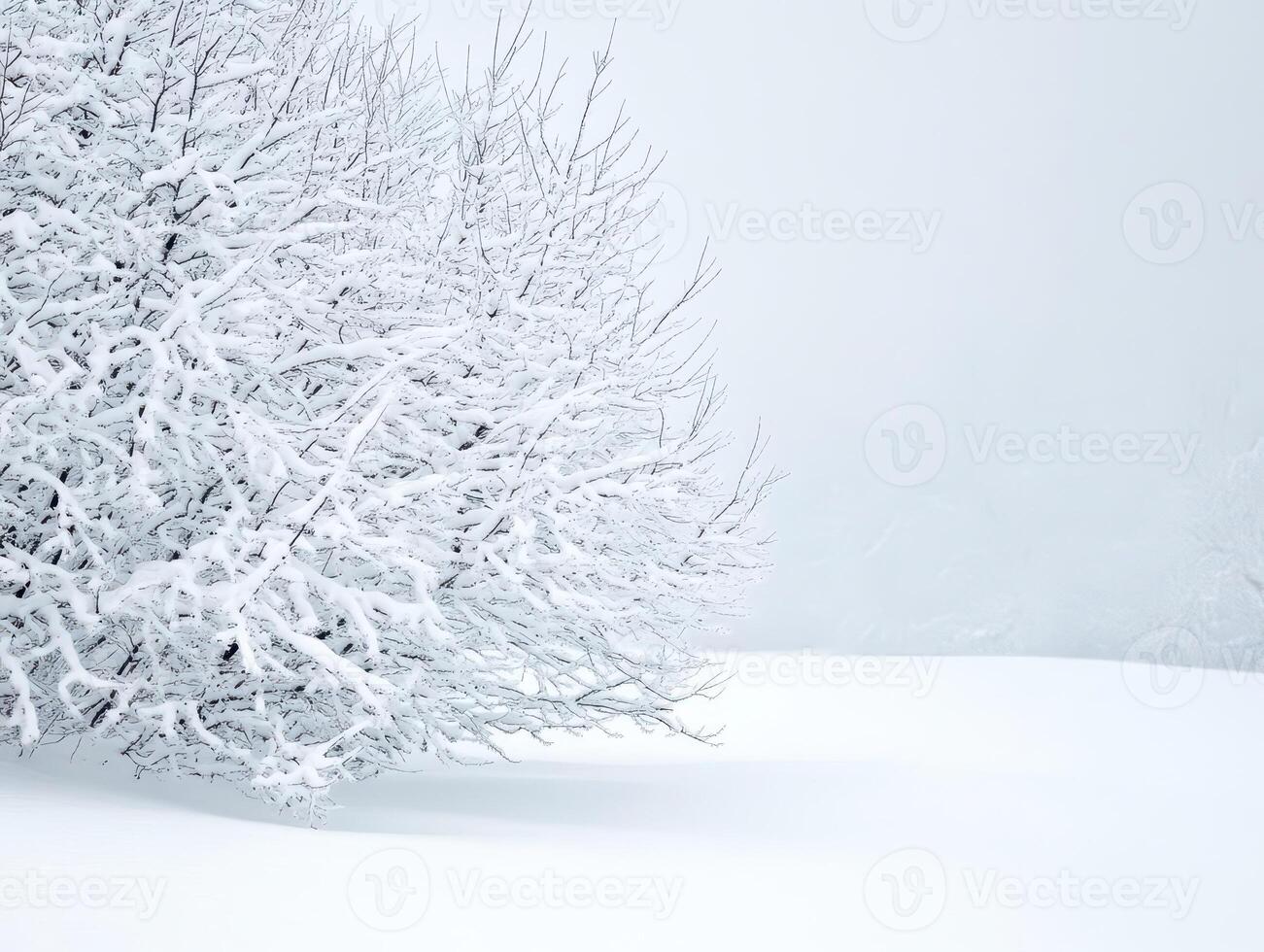 Desaturated winter landscape with frost-covered trees, subtle blue-gray hues, and a peaceful atmosphere photo