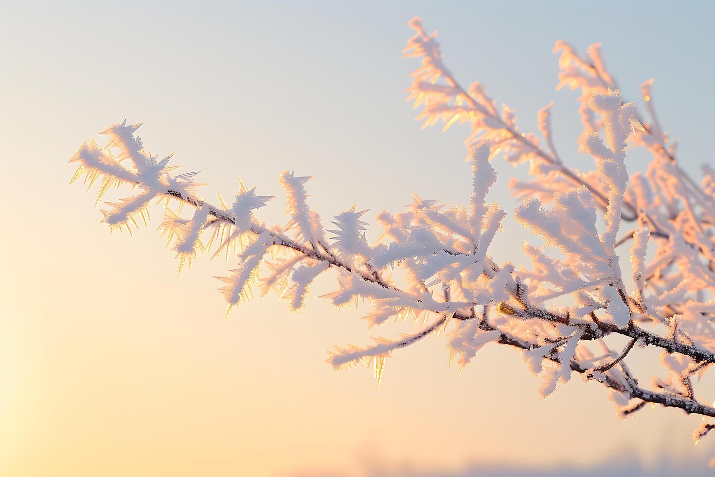 Enchanting Winter Sunrise photo