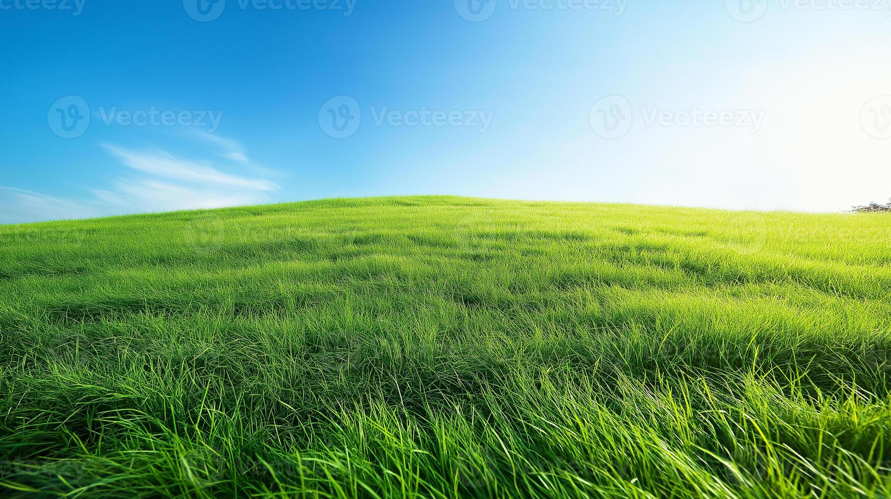 Grass field. Carbon net zero concept background image photo