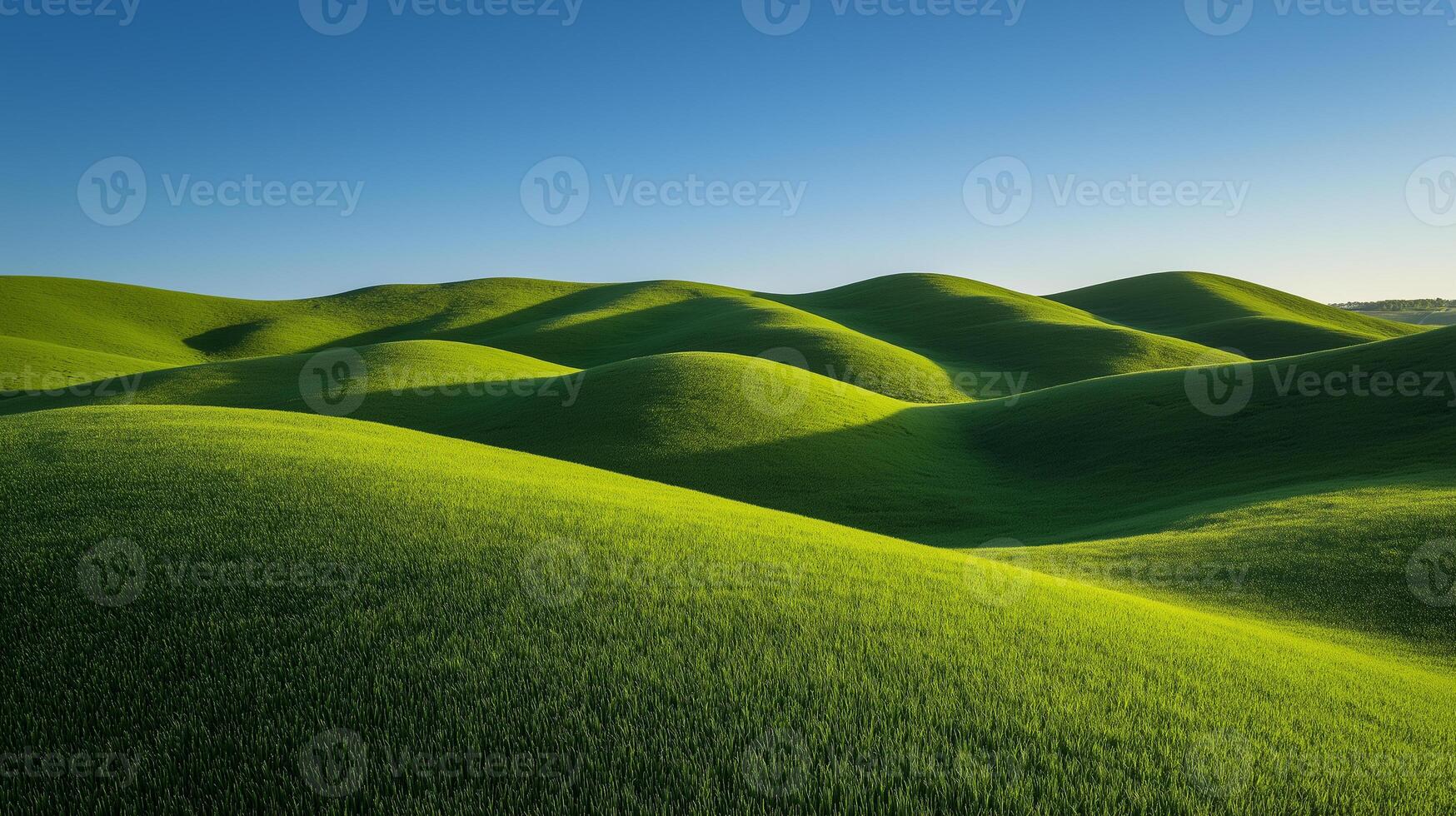 Hilly landscape covered with grasses at sunset or sunrise photo