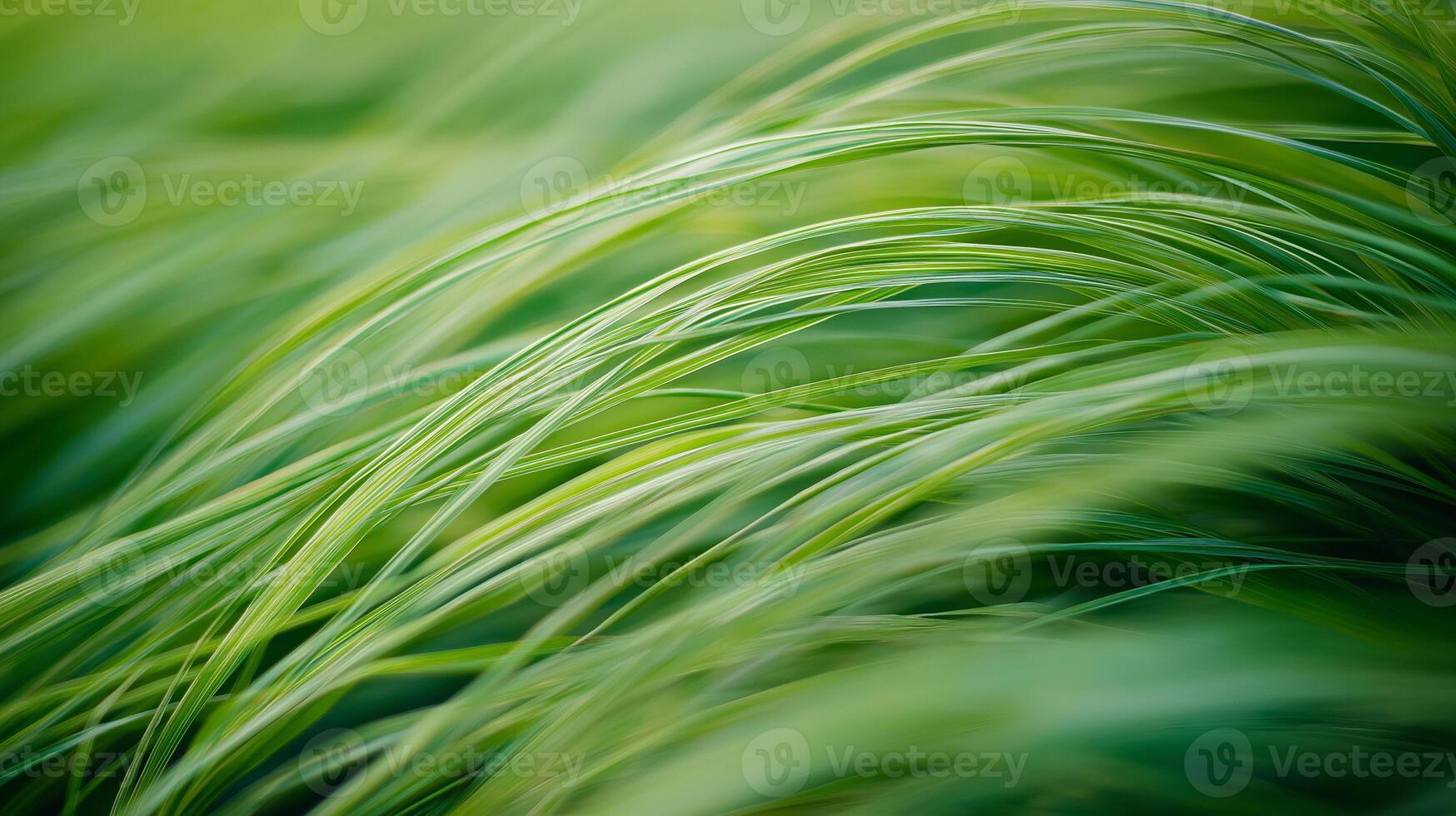 Wavy fresh green grasses in focus. Carbon net zero or carbon footprint photo