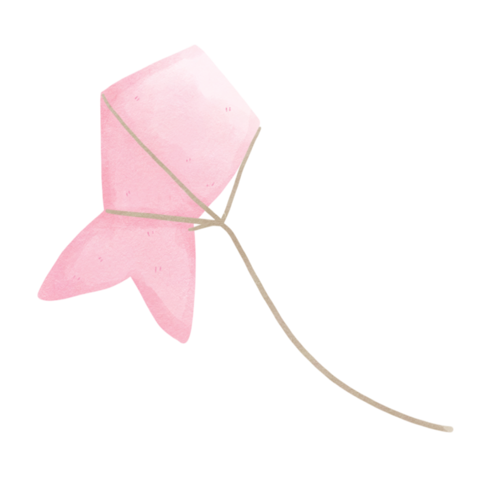 pink kite transparent background png