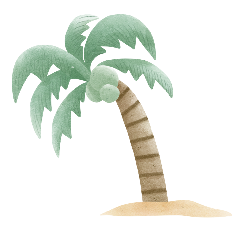 coconut tree with transparent background png