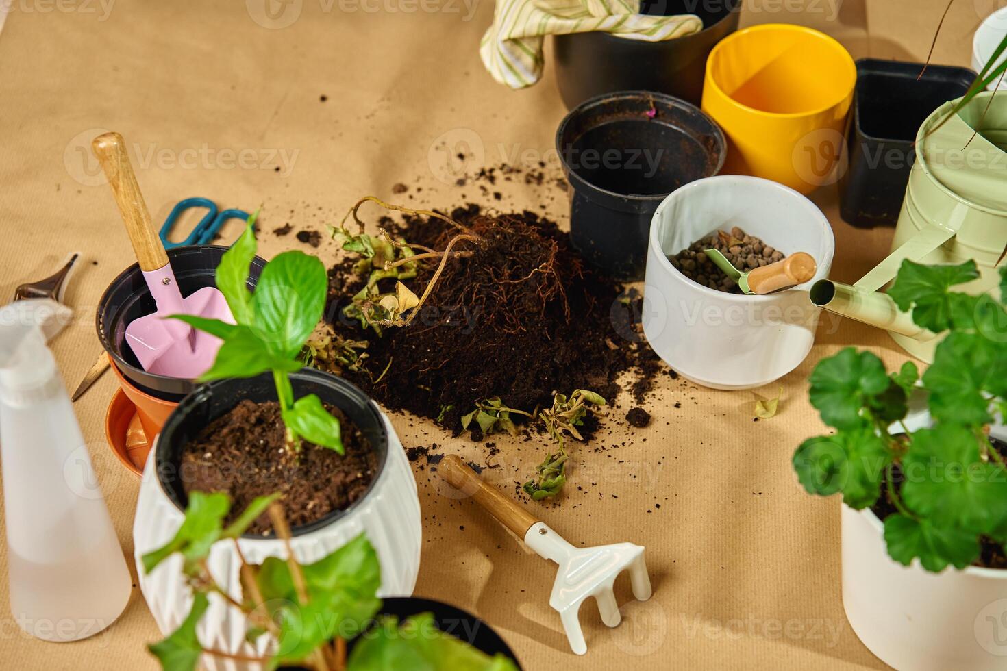 Close-up of gardening tools, potted plants and soil scattered on floor during repotting plant process. Concept of home gardening, and spring houseplant care photo
