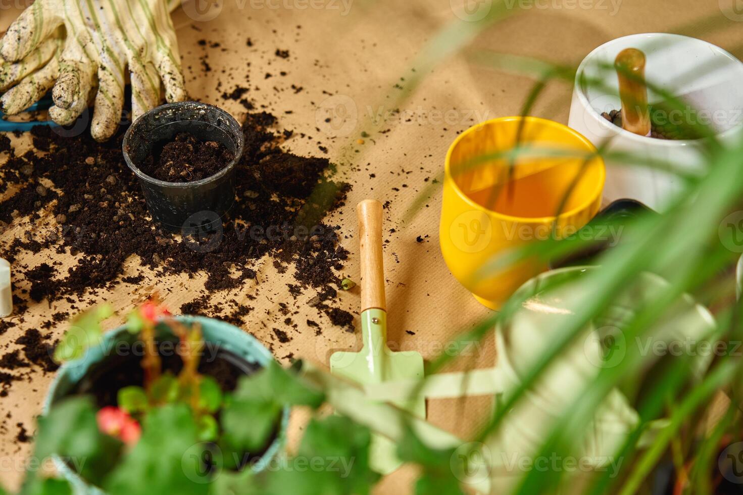 Home gardening with soil, pots, and tools for plant care photo