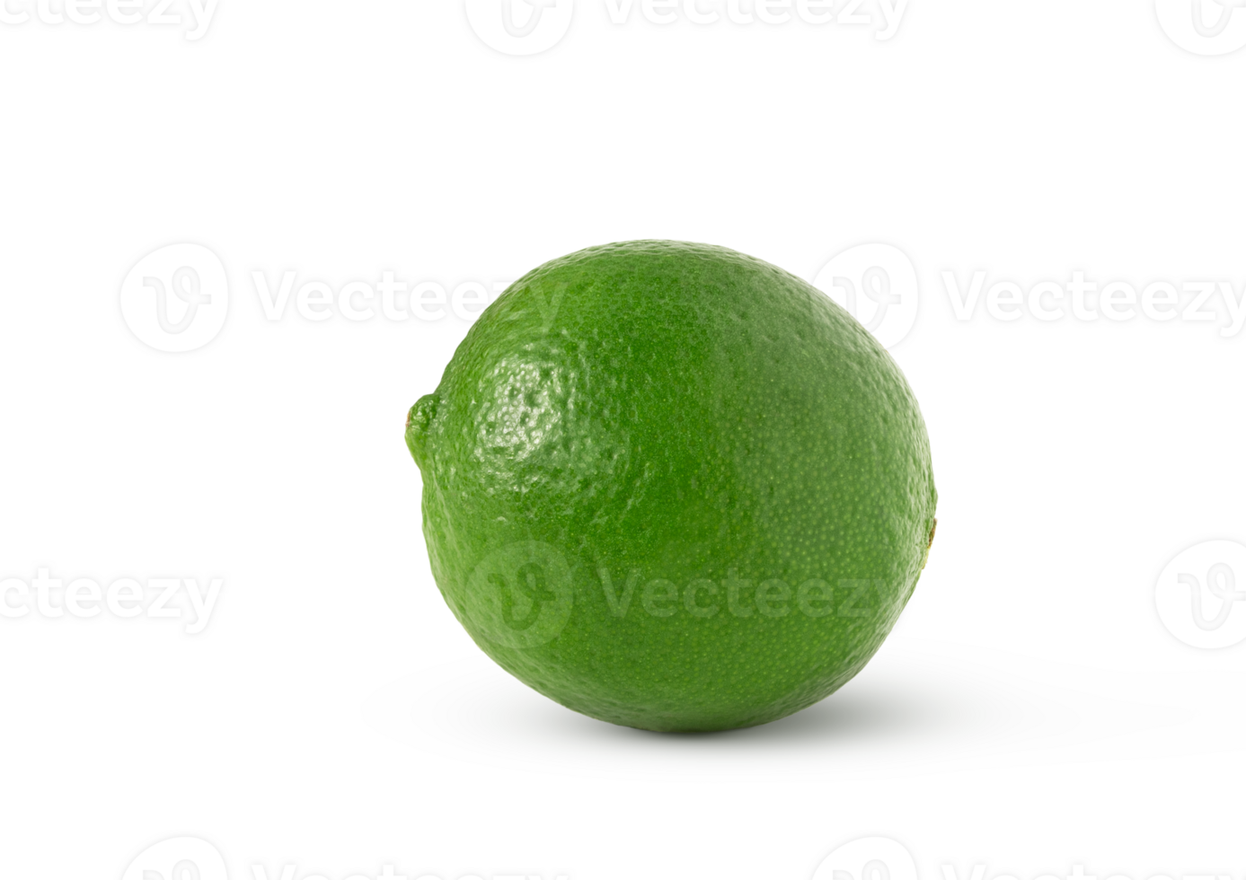 Whole fresh lime fruit isolated with shadow png