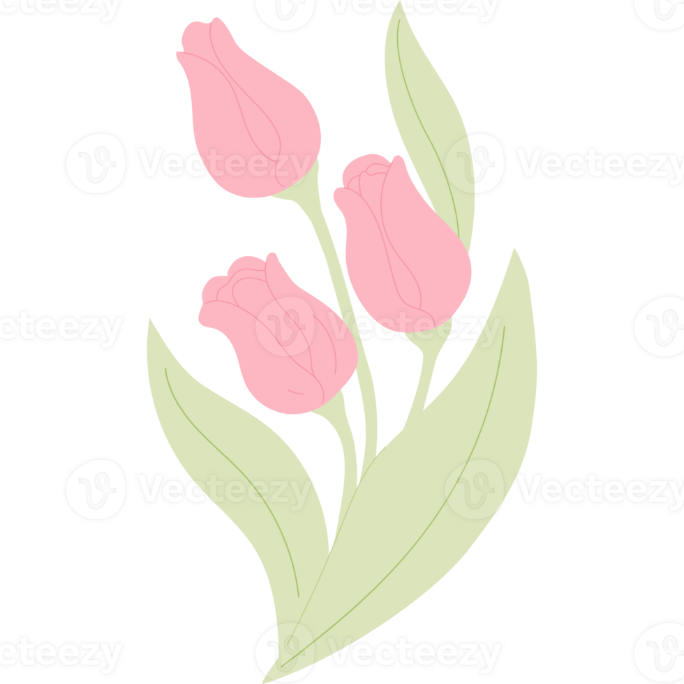 Bouquet Tulips. Spring Flowers png
