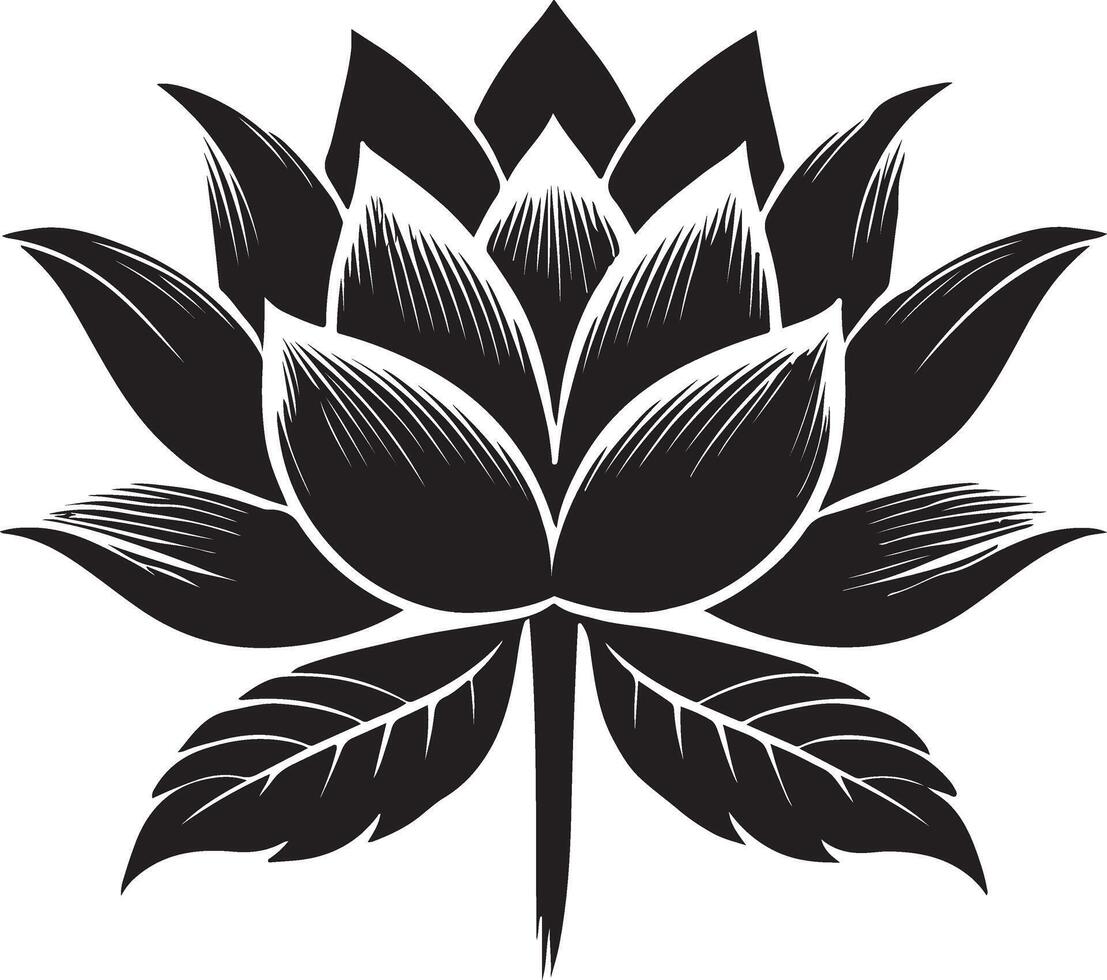 a lotus flower on a white background vector