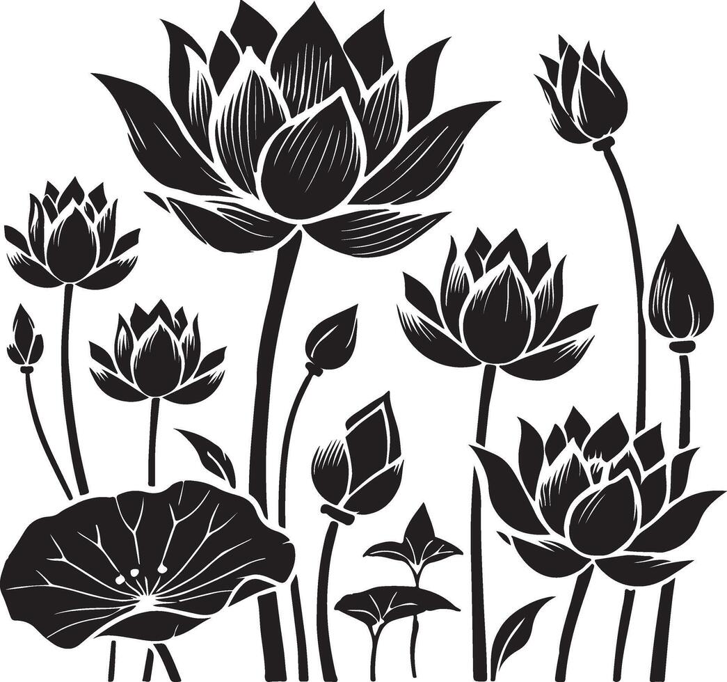 black and white lotus flowers on a white background vector