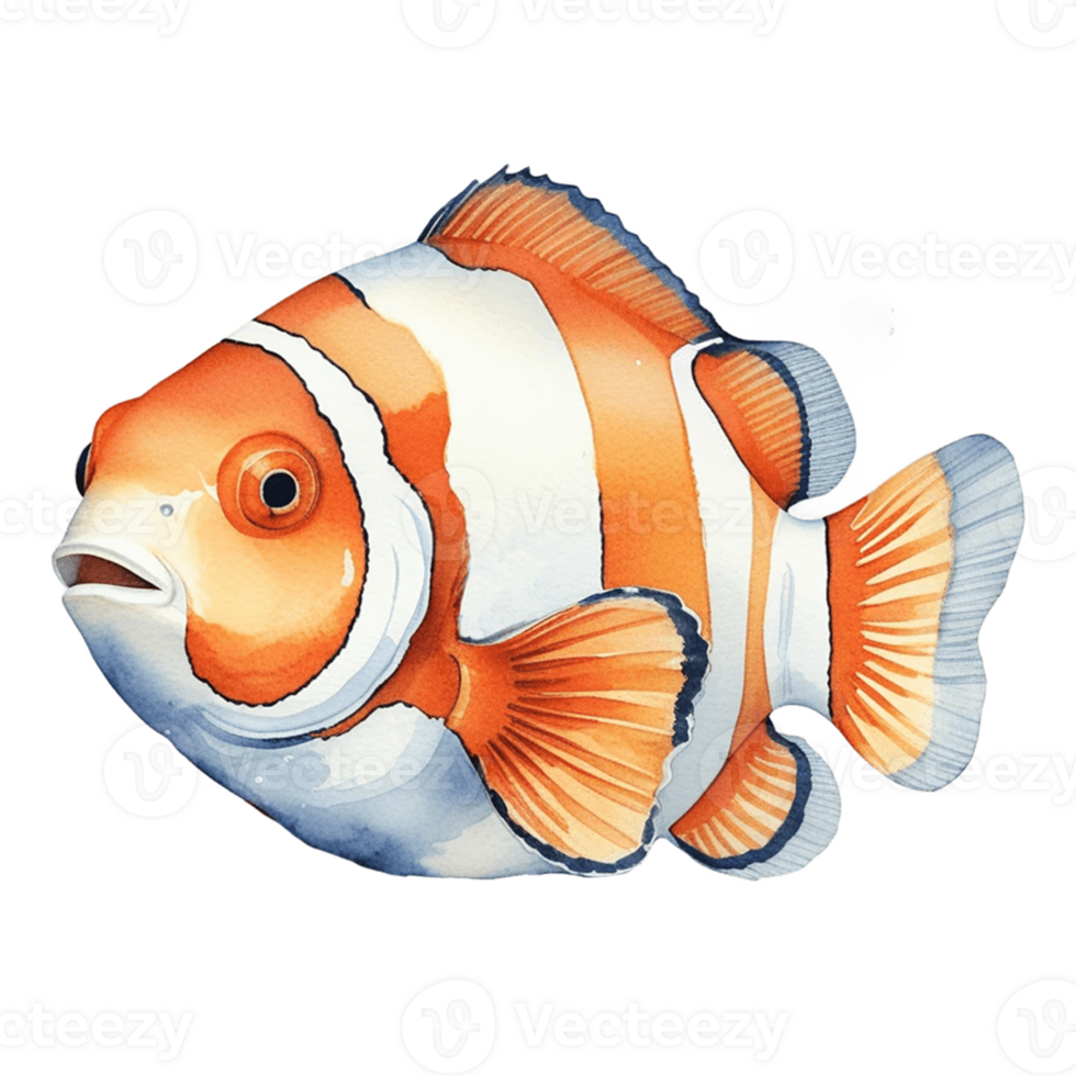 watercolor of an orange and white clown fish on a transparent background png