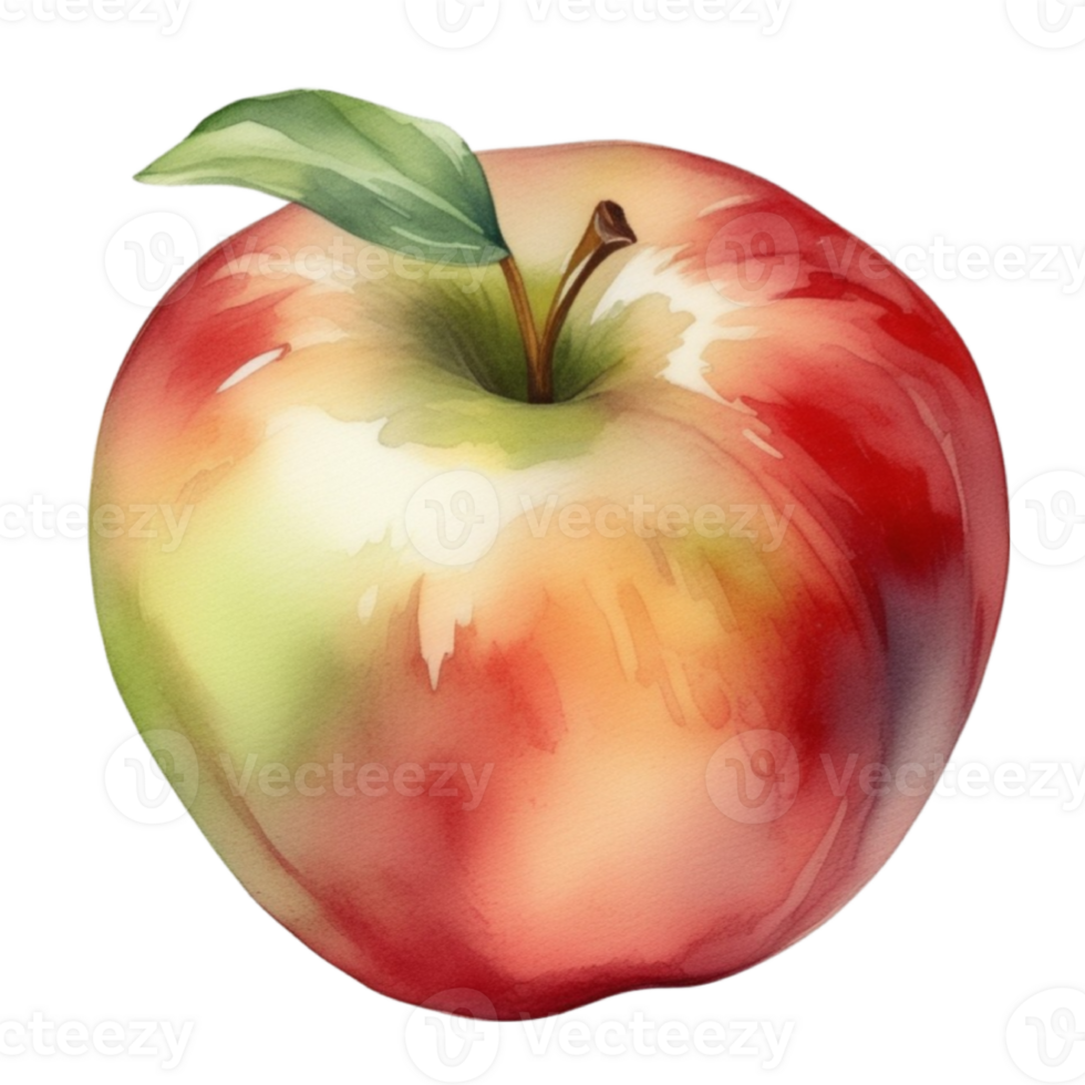 an apple with a green leaf in watercolor illustration style png