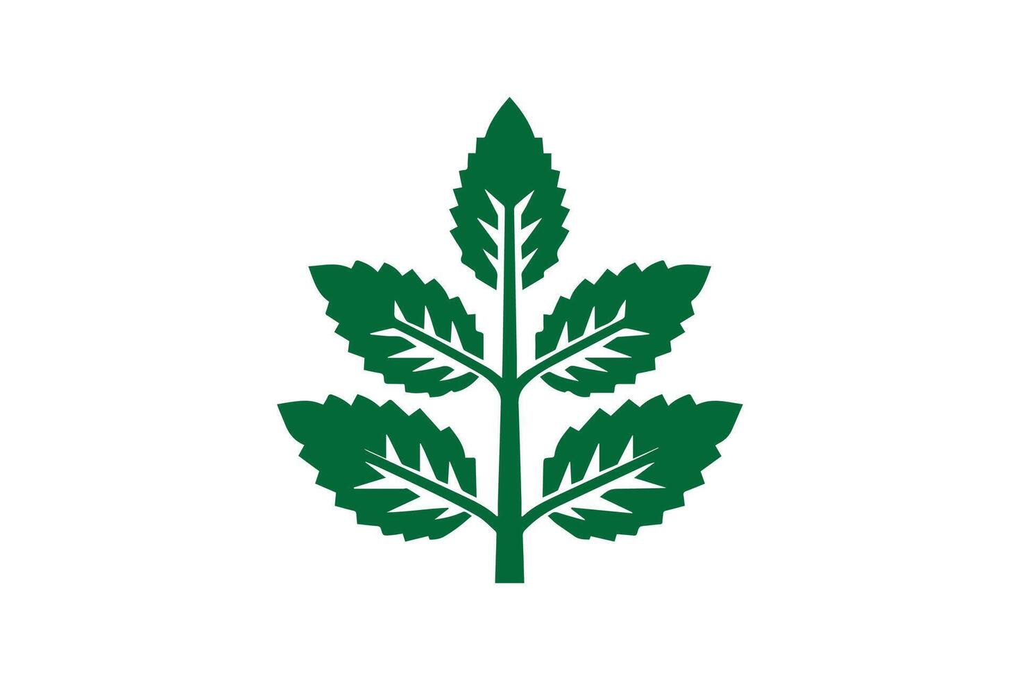 A green leaf icon on a white background vector