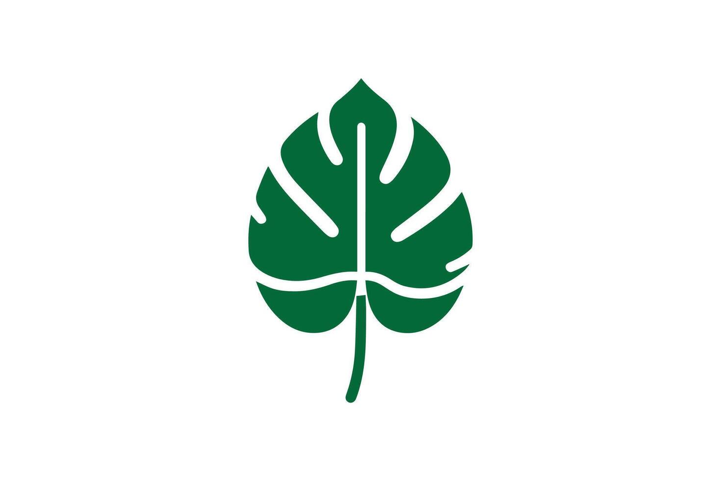 A green leaf on a white background vector