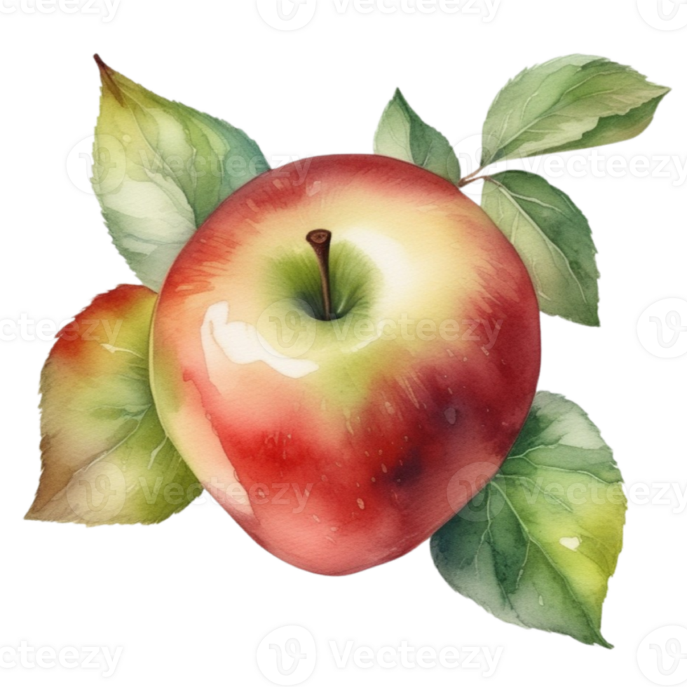 watercolor illustration of apple with leaves on transparent background png