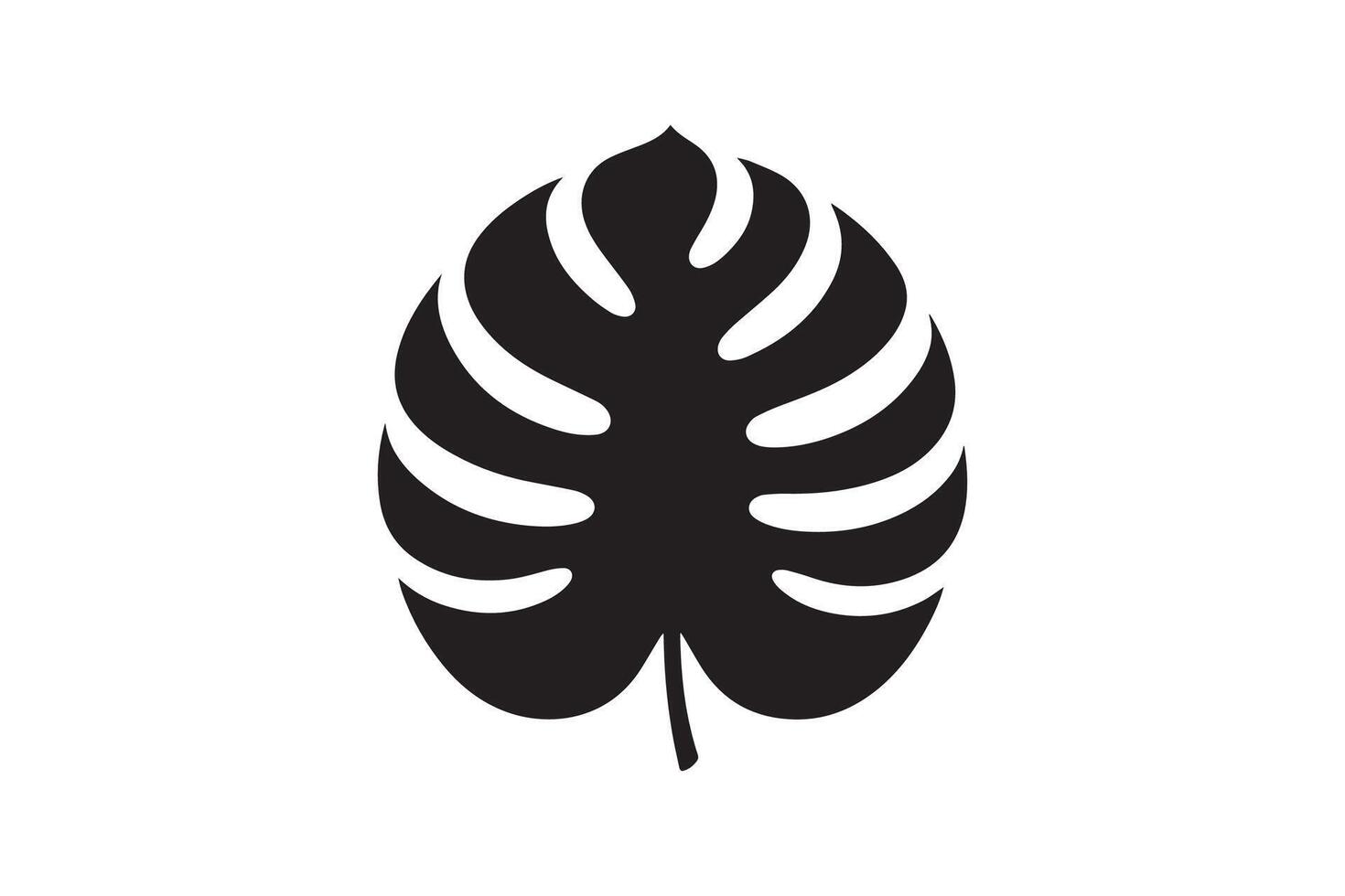 A black and white illustration of a monstera leaf vector