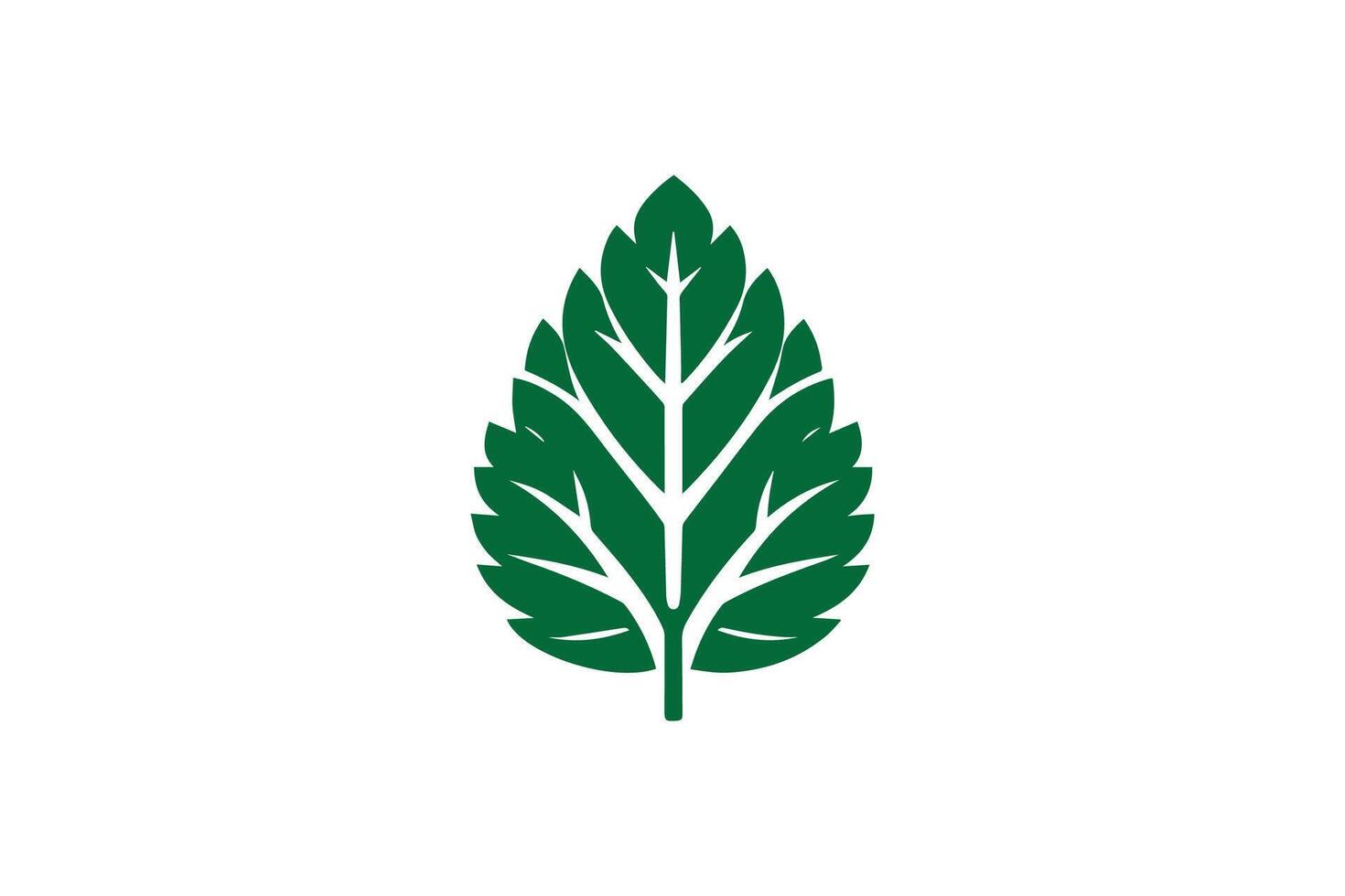 A green leaf logo on a white background vector
