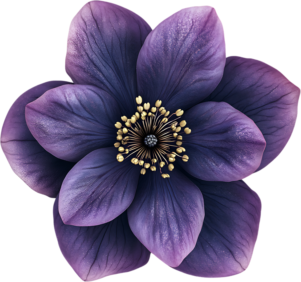 A captivating close-up of a vibrant purple flower with delicate petals arranged artfully around a striking golden center png