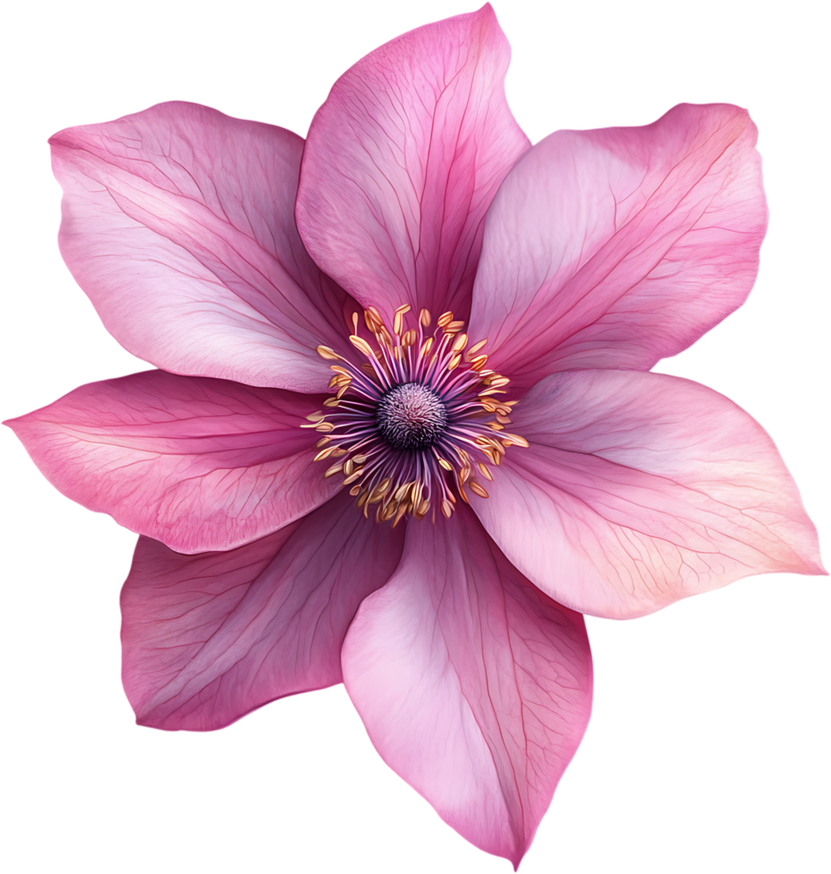 A captivating close-up of a delicate pink flower showcasing its intricate details and the beauty of nature's artistry png