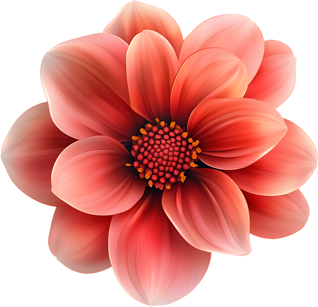 Detailed close-up of a vibrant multi-petaled flower with a deep red center and petals graduating to softer pink tones png