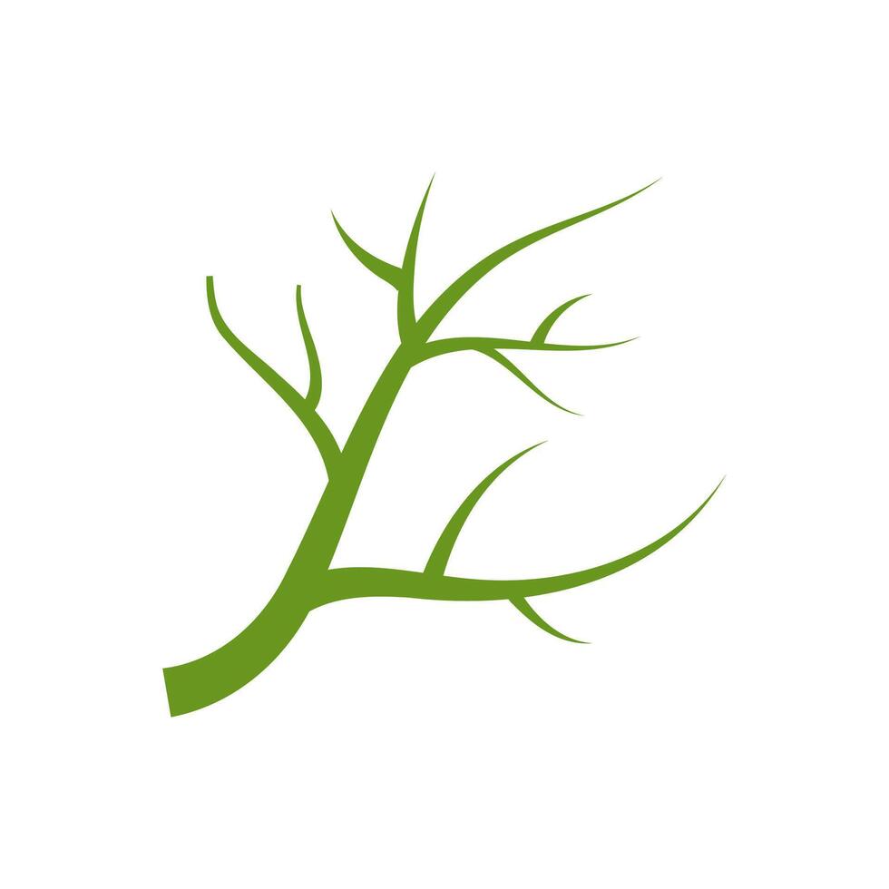 A branch with no leaves on it vector