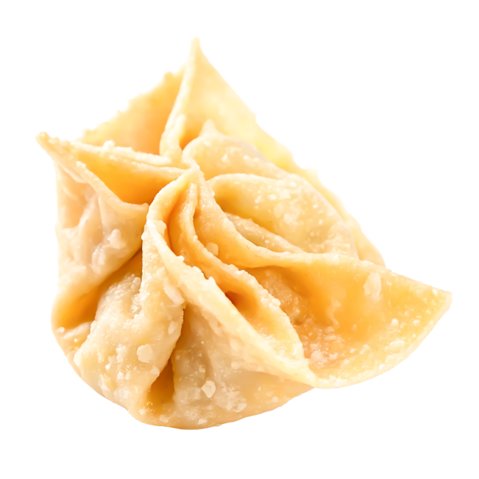 Delicious Crispy Fried Wonton Dumpling, Close-up Asian Food Photography png