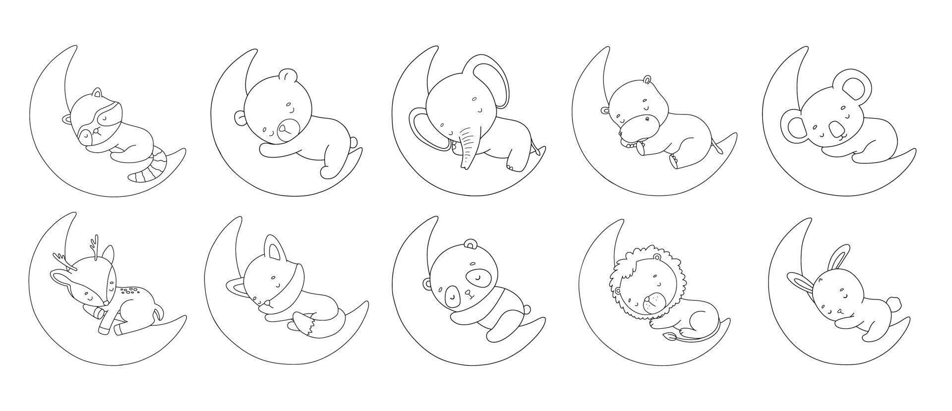 Baby lion, bunny and bear sleep on moon, line illustrations set for coloring book, Safari and woodland animals, outline drawing vector