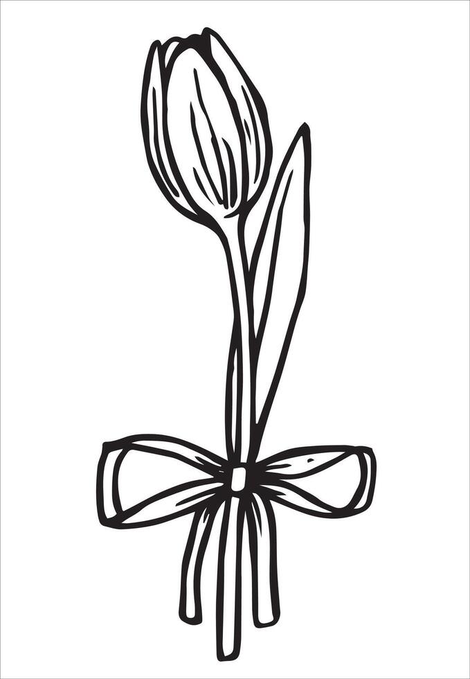 illustration in doodle style. tulip flower with ribbon. vintage sketch vector