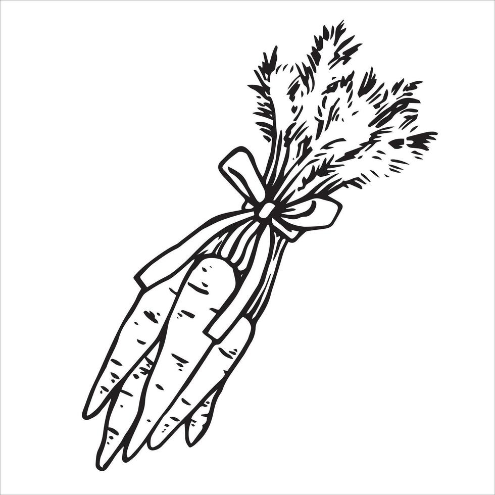 Easter illustration in doodle style. bouquet of carrots. vintage sketch vector