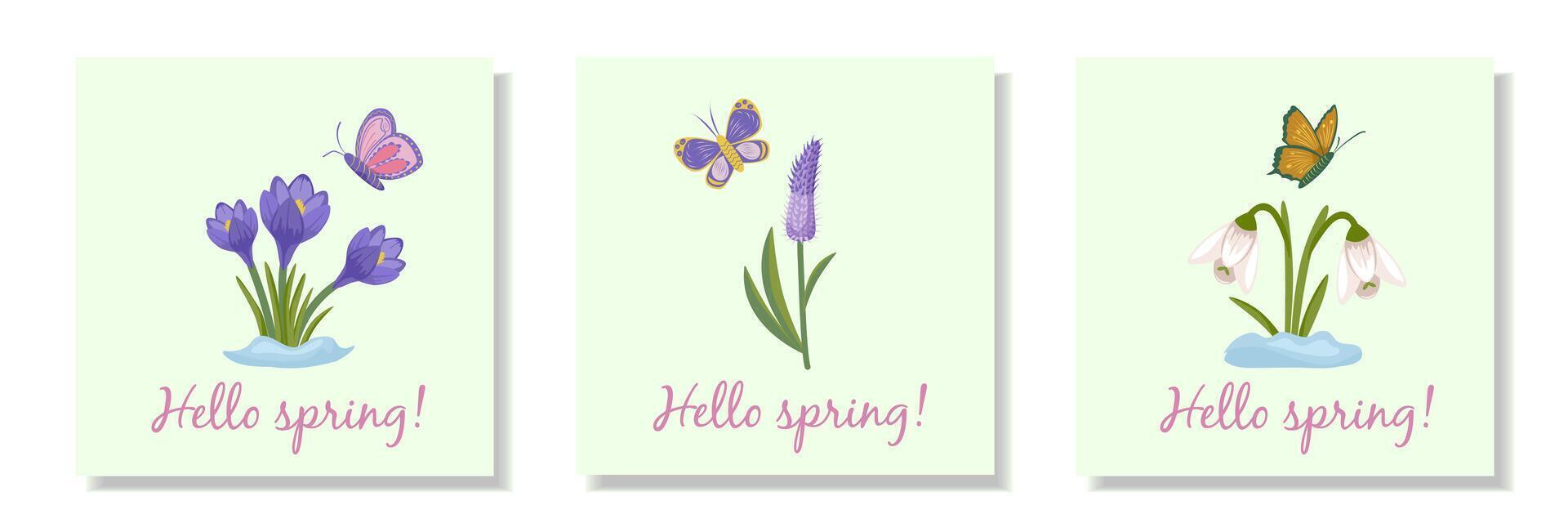 Set of spring cards with flowers and butterflies on a light green background. The first spring flowers are snowdrops and crocuses and purple celosia. vector