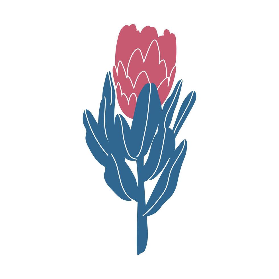 Simple illustration of pink protea flower. Perfect for creating minimalist floral designs. vector