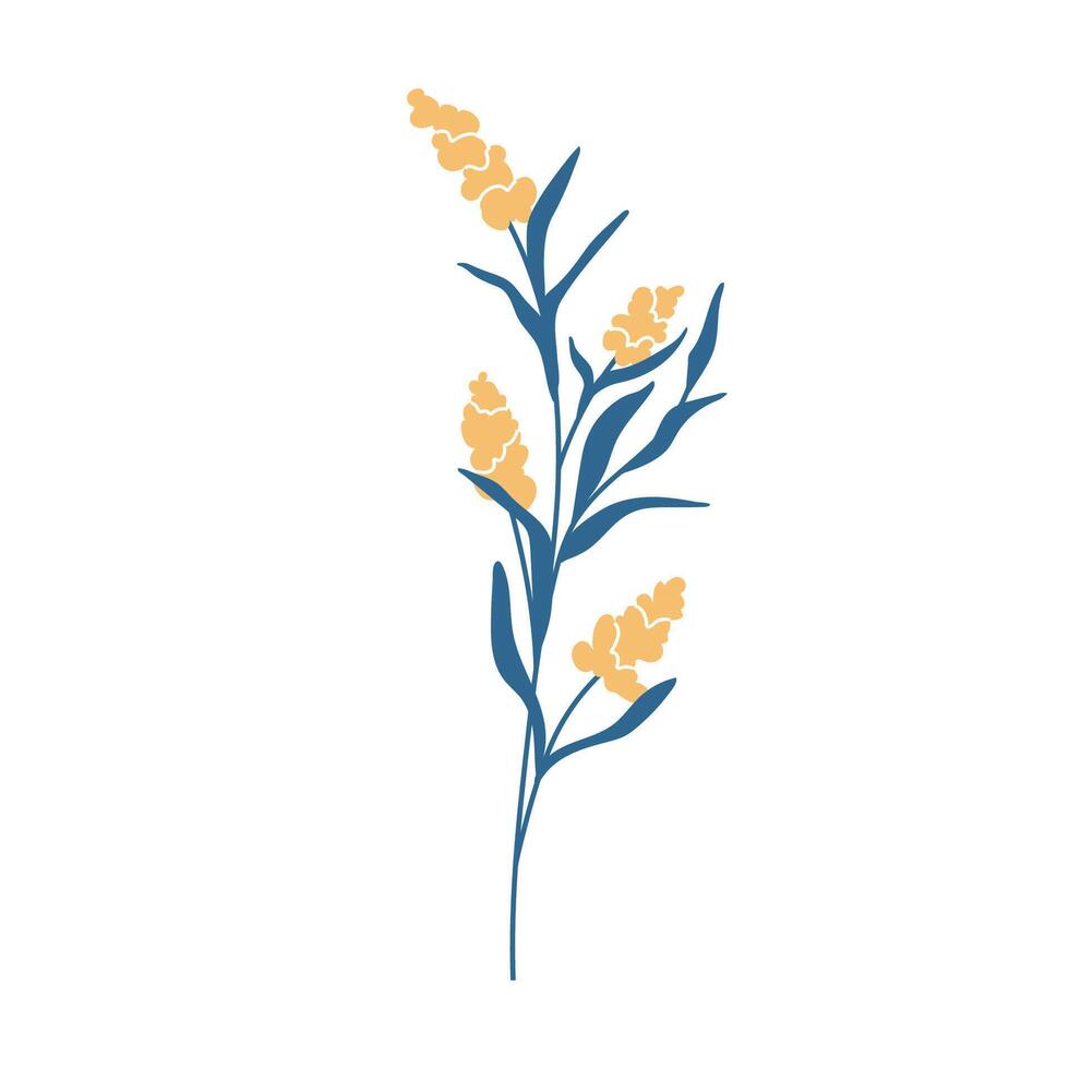 Simple illustration of yellow acacia flowers. Perfect for creating minimalist floral designs. vector