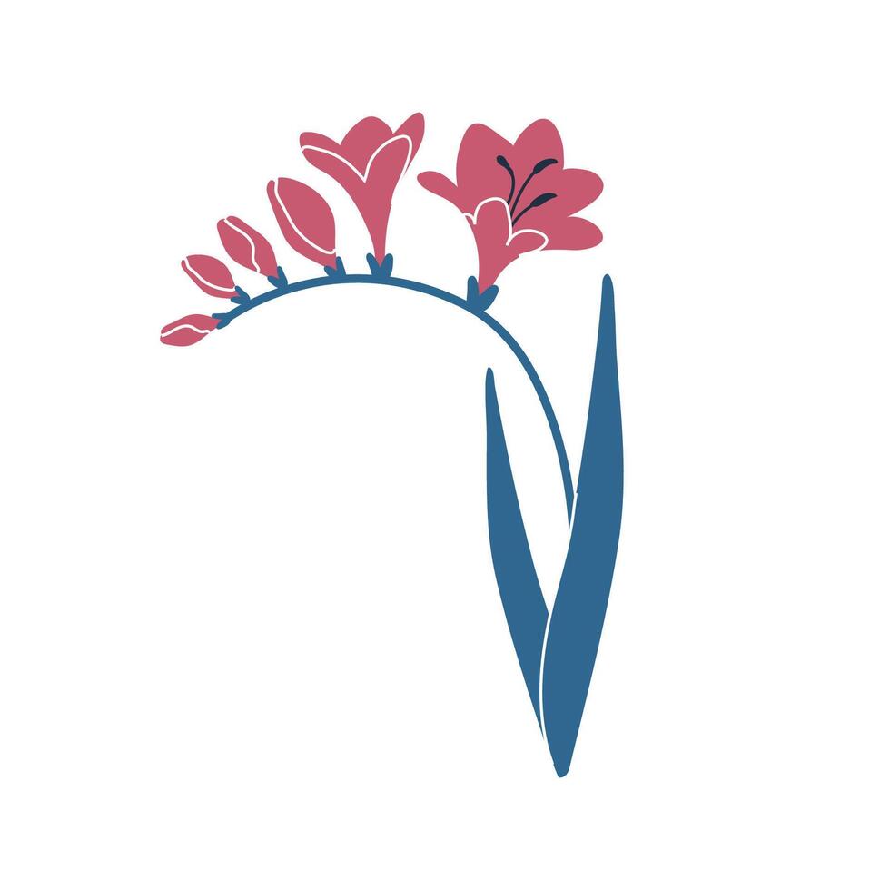 Simple illustration of pink freesia flowers. Perfect for creating minimalist floral designs. vector