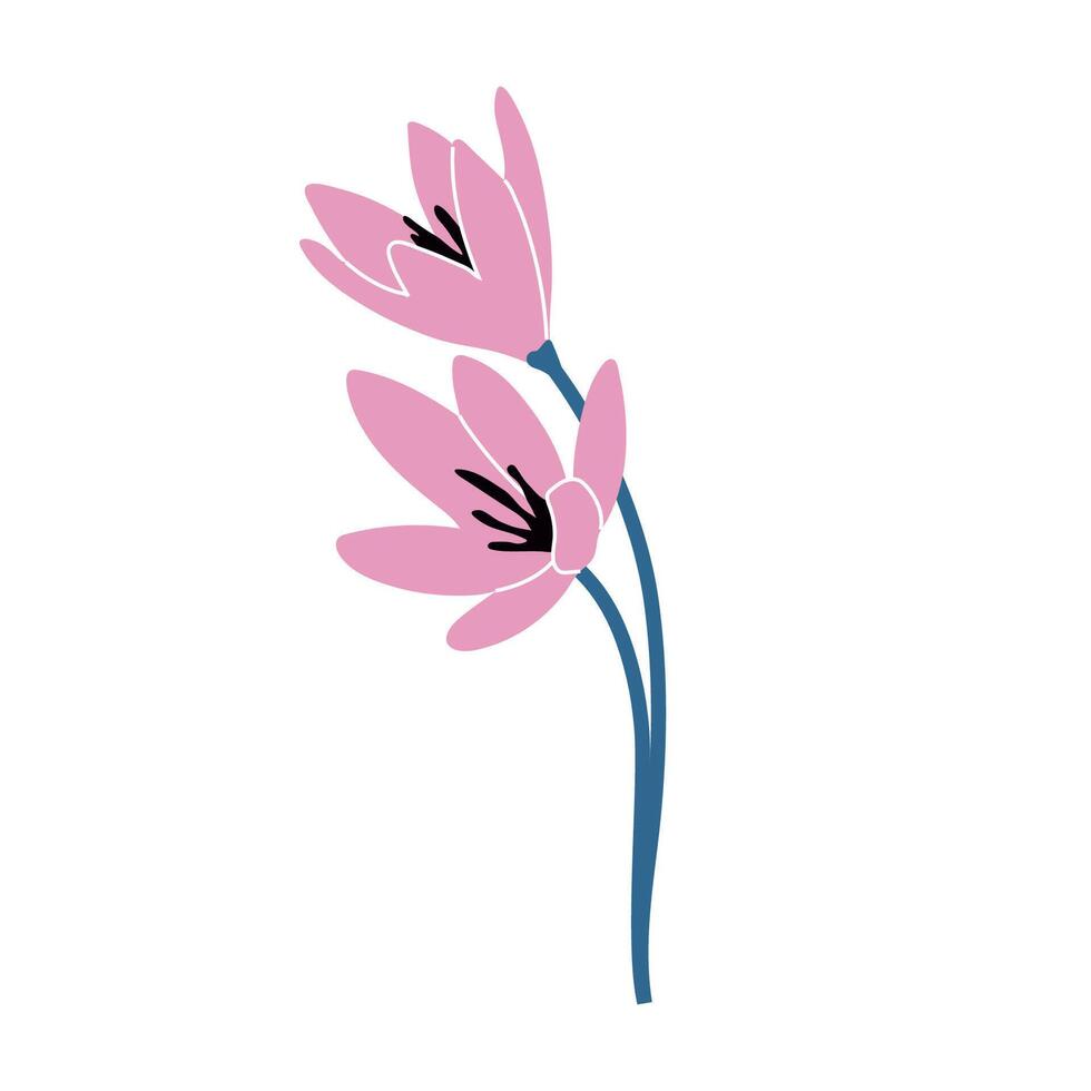 Simple illustration of pink crocus flowers. Perfect for creating minimalist floral designs. vector