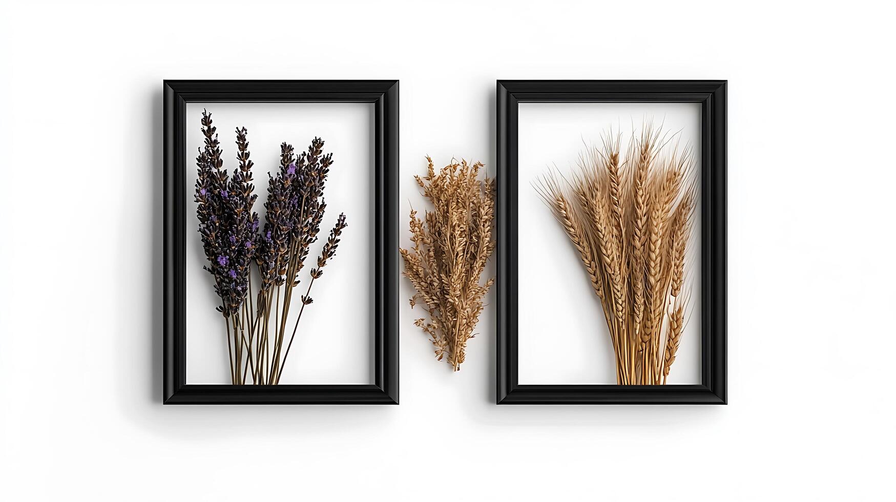 Two frames with dried lavender and wheat photo