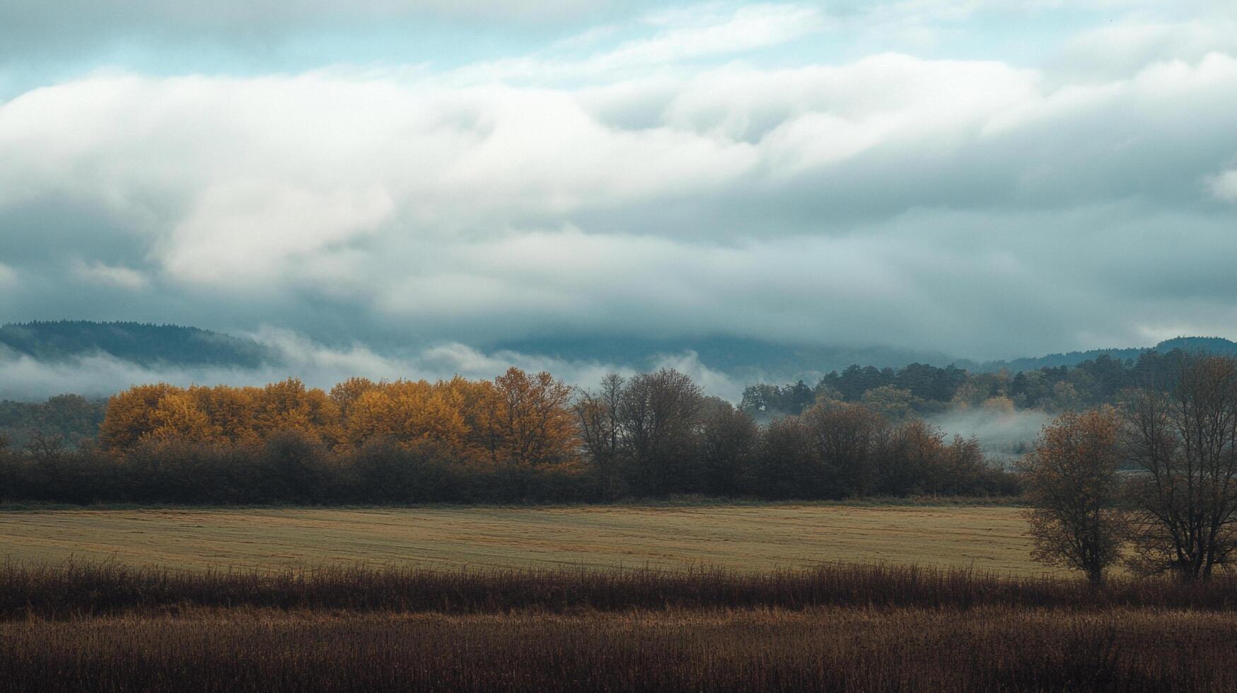 Mist drapes over a rural landscape with golden trees and a field, evoking a sense of tranquility and seasonal transition. Idyllic countryside scenery. photo