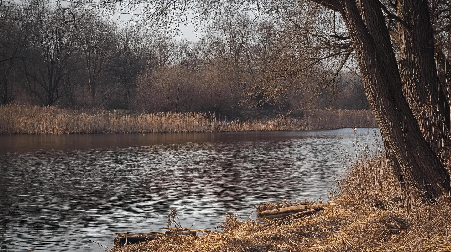 Calm river scene with trees and reeds on the banks, capturing a peaceful waterside landscape, a serene moment in nature's embrace. photo