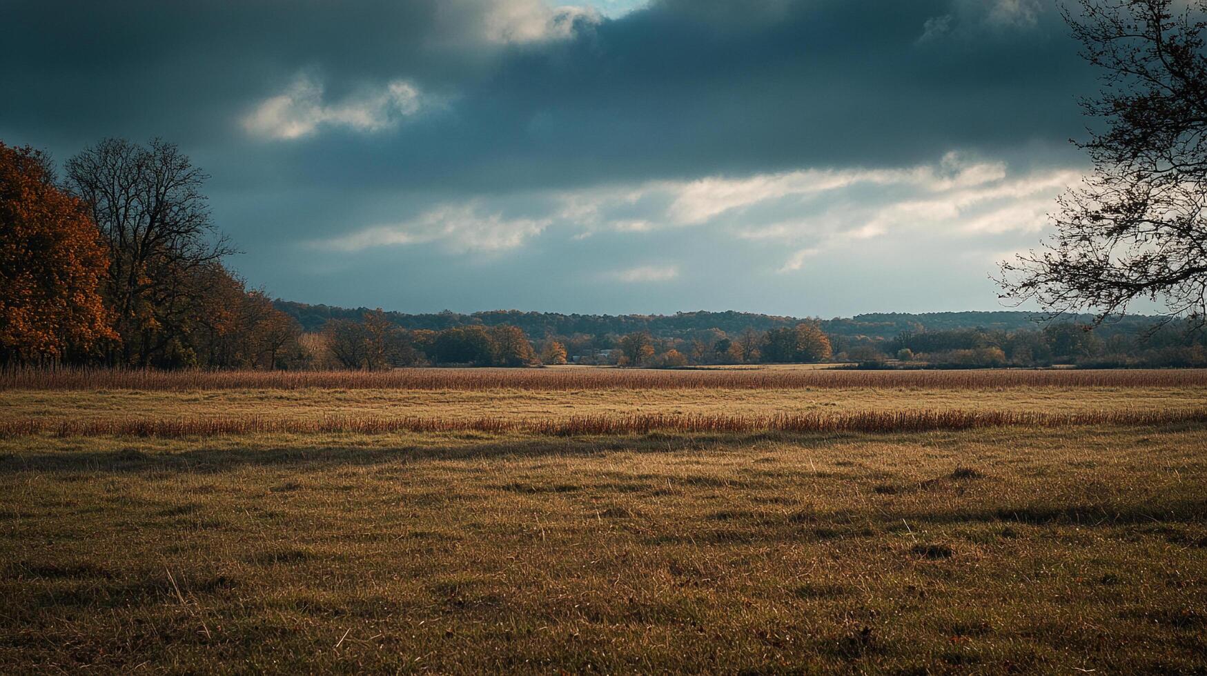 Expansive landscape with field, trees, and dramatic sky. A serene and untouched scene, perfect for nature lovers. photo
