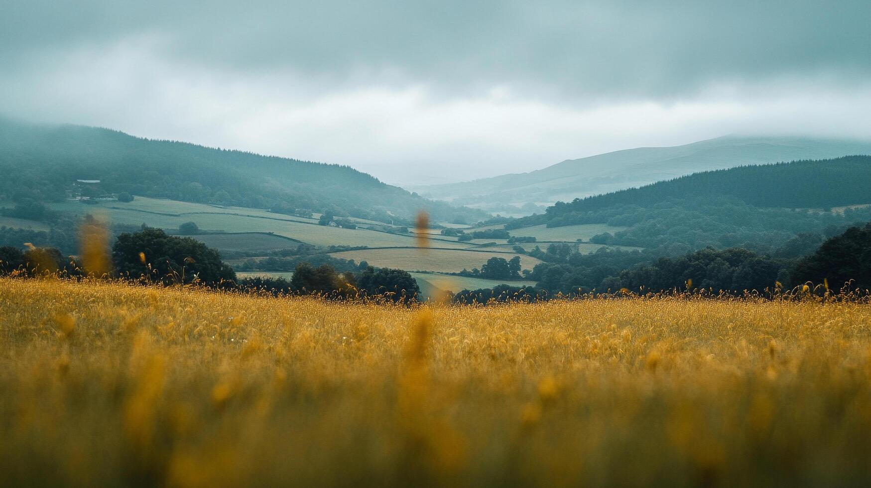 Picturesque valley on a cloudy day, showcasing a field of yellow flowers and distant hills fading into the misty horizon. photo